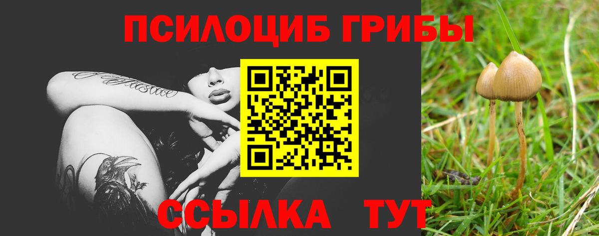 Шелехов  Псилоцибиновые грибы GOLDEN TEACHER  Галлюциногенные грибы мухоморы  Вход с VPN 