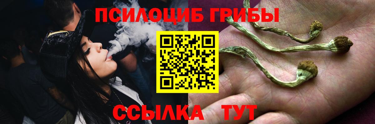 Галлюциногенные грибы GOLDEN TEACHER Шелехов
